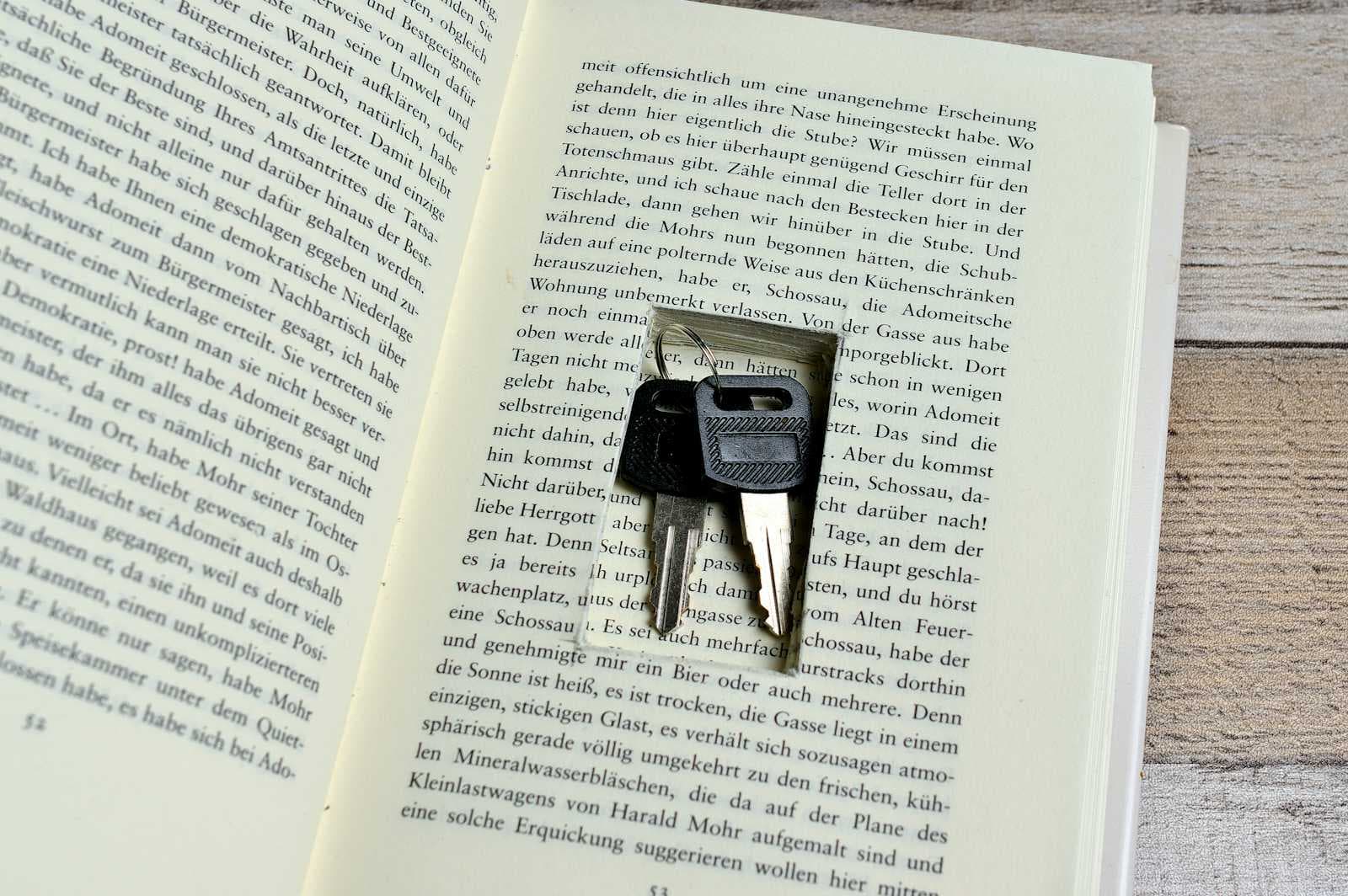 FauxFS A Bug-Infested File System for Learning